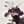 xiaorui.wang@gaeamobile.com's avatar
