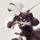 xiaorui.wang@gaeamobile.com's avatar